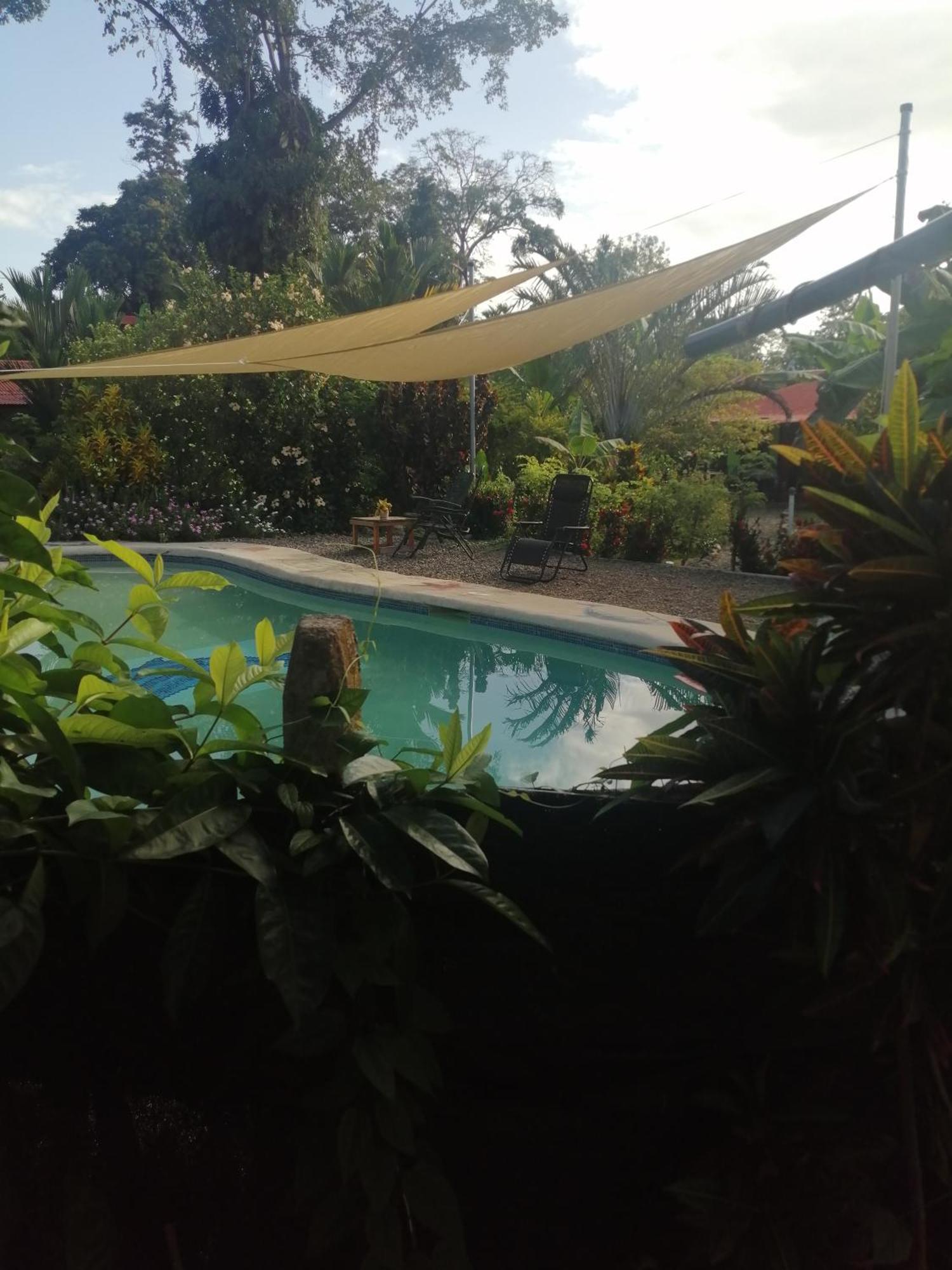Cabinas Los Tucanes Cahuita Pokój zdjęcie