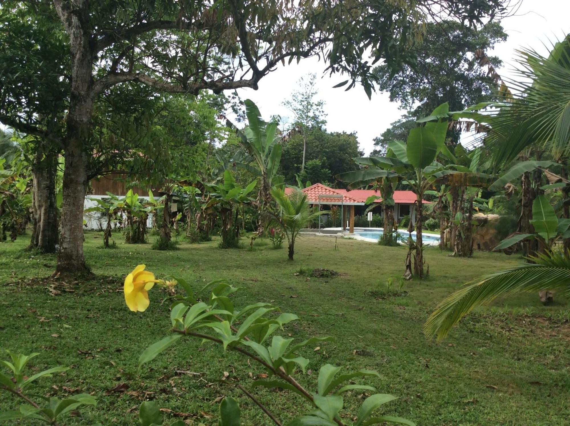 Cabinas Los Tucanes Cahuita Zewnętrze zdjęcie