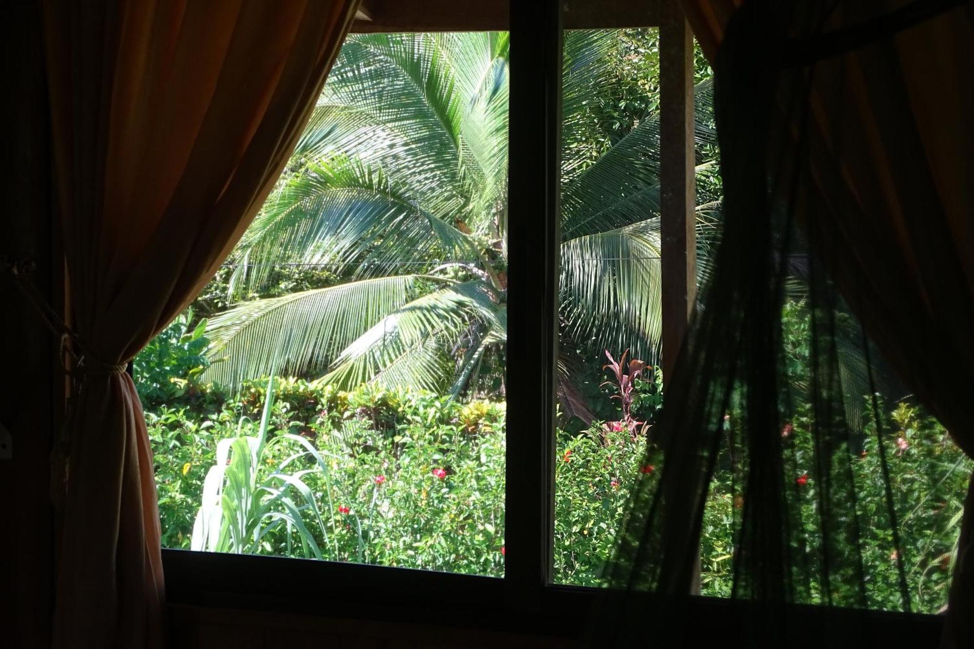 Cabinas Los Tucanes Cahuita Zewnętrze zdjęcie