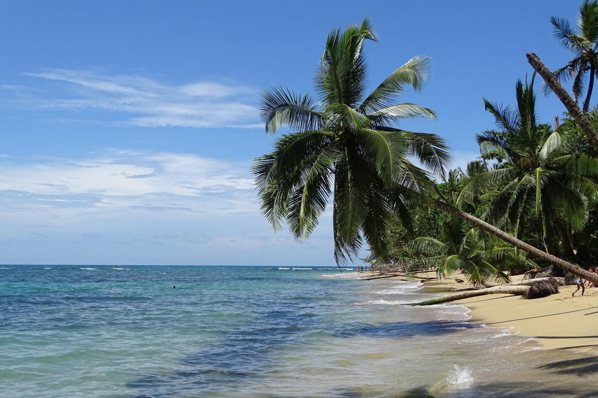 Cabinas Los Tucanes Cahuita Zewnętrze zdjęcie