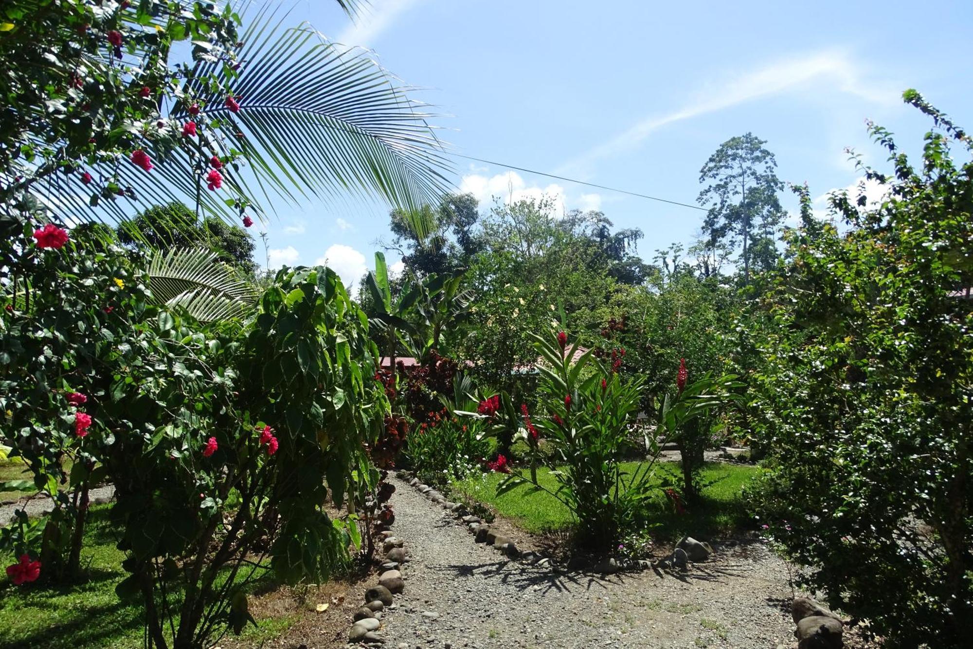 Cabinas Los Tucanes Cahuita Zewnętrze zdjęcie