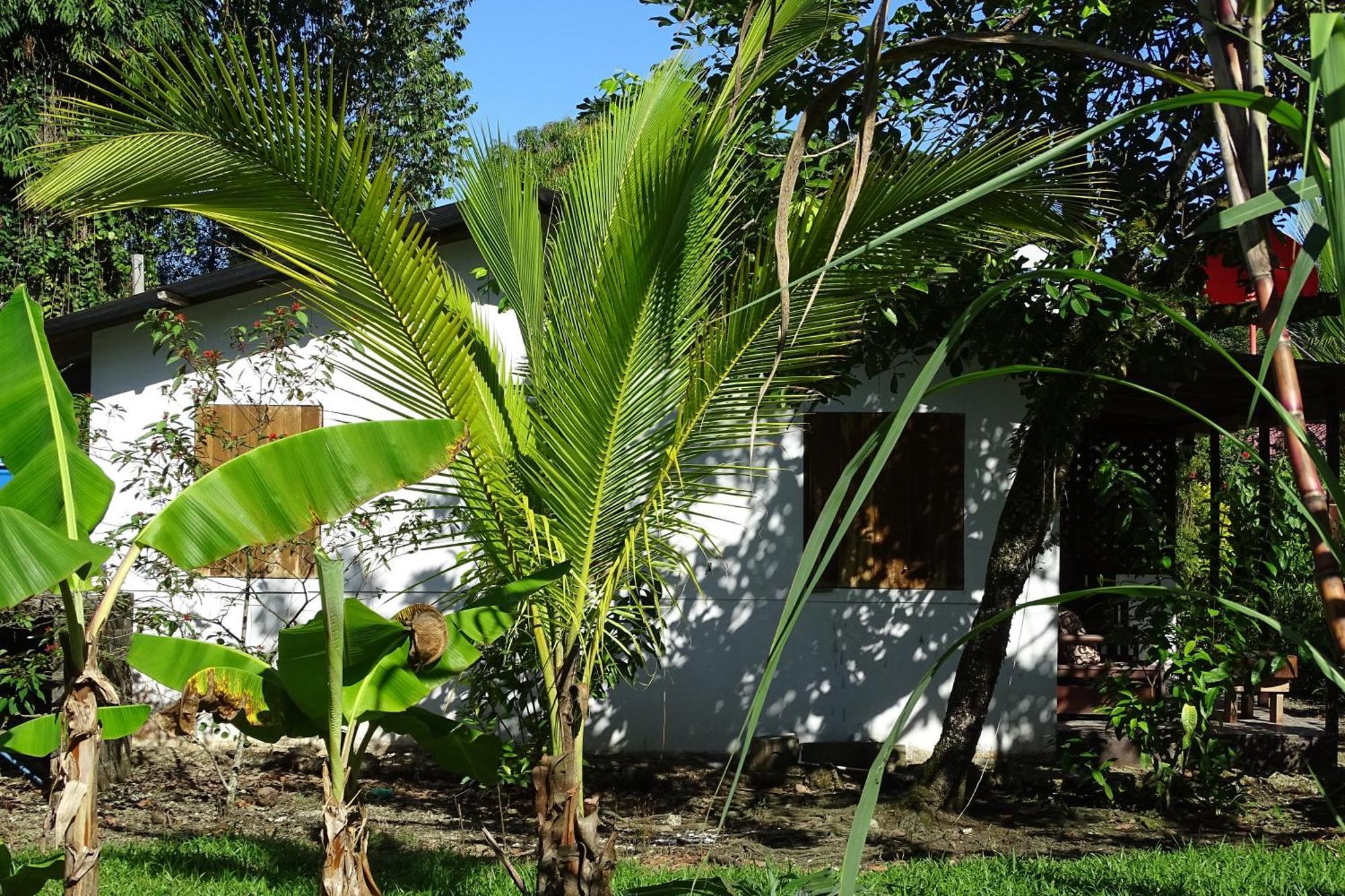Cabinas Los Tucanes Cahuita Zewnętrze zdjęcie