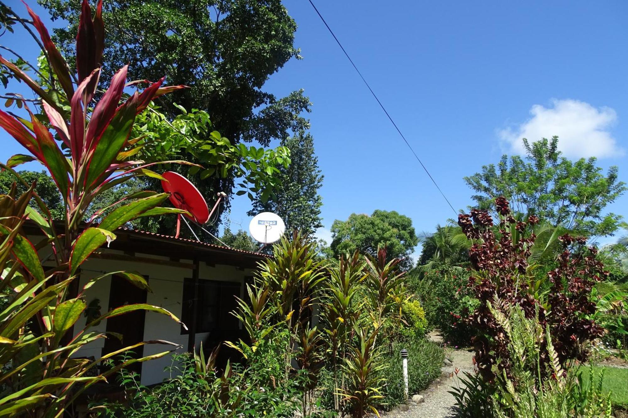 Cabinas Los Tucanes Cahuita Zewnętrze zdjęcie