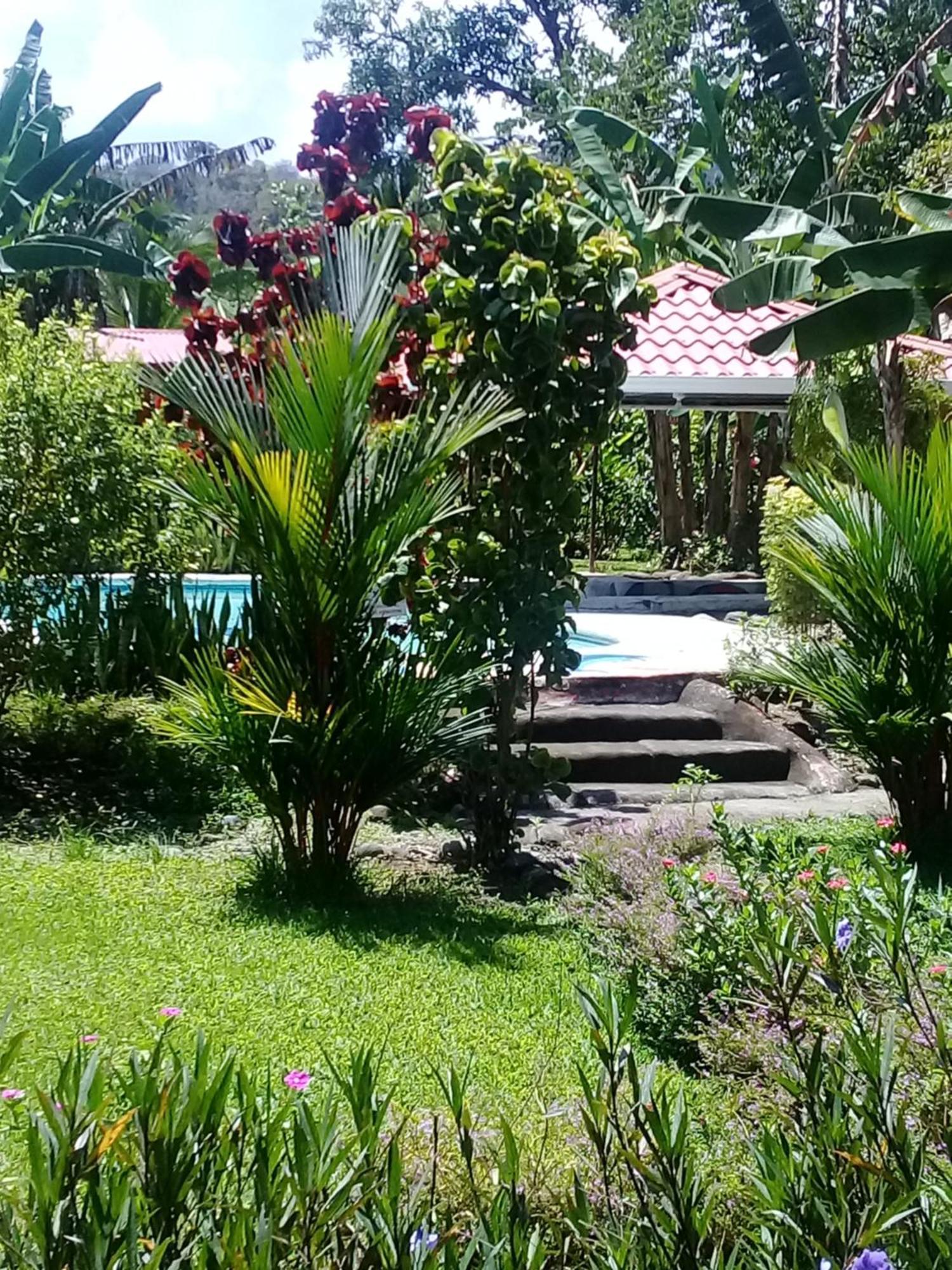Cabinas Los Tucanes Cahuita Zewnętrze zdjęcie